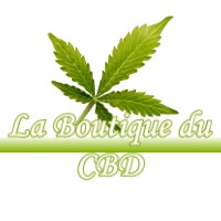 LA BOUTIQUE DU CBD ARTASSENX 